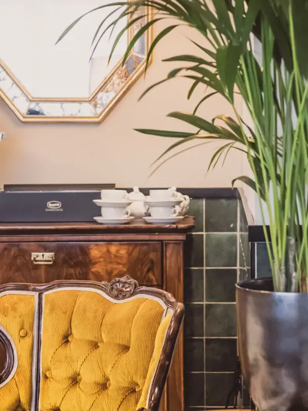 Lounge A room with a mirror and a potted plant.