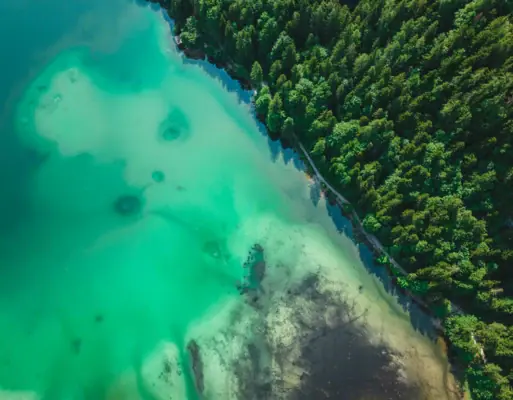 A body of water with trees in the foreground.