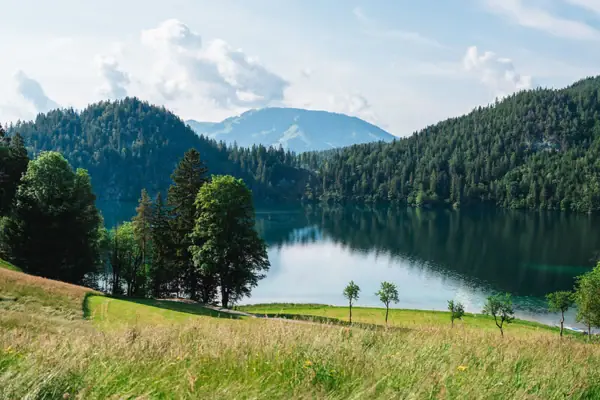 Hiking in summer A lake with trees and mountains in the background.