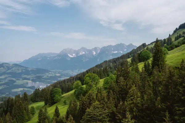 Kitzbühel Alps The green mountain panorama of the Kitzbühel Alps in summer under a blue sky.