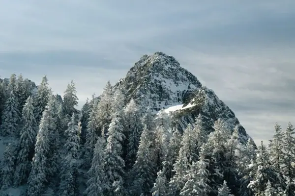 Mountain peaks in winter Snow-covered mountain with trees in the foreground.