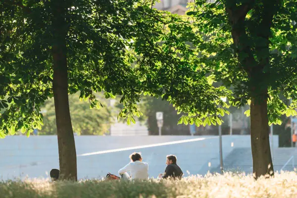 Berlin Tiergarten People sit on a meadow under trees.