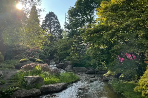 Planten un Blomen A stream flows through a forest.