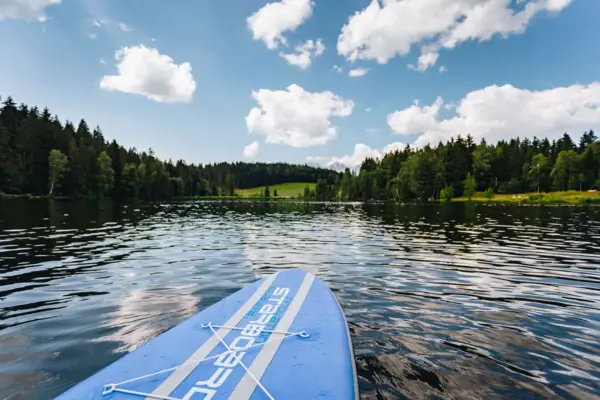 A stand-up paddle board on a lake.