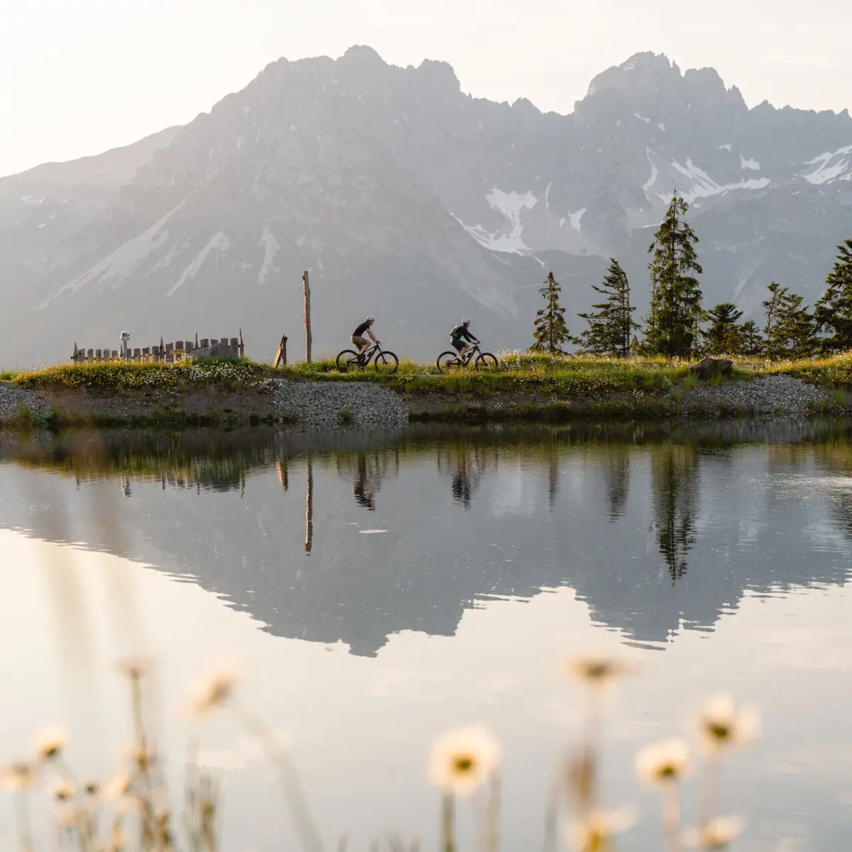 A group of people ride their bicycles across a meadow next to a lake.