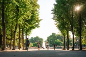 Düsseldorf A group of people riding bicycles on a tree-lined path.