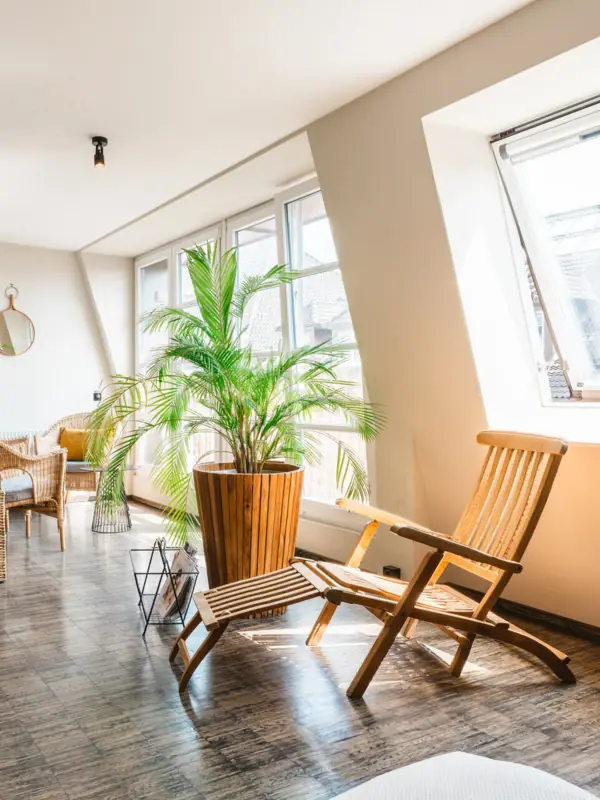 Relaxation area in the HENRI Spa Room with deckchairs and houseplant