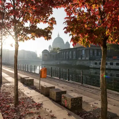 Berlin in autumn A path with red leaves on the trees and a building in the background.